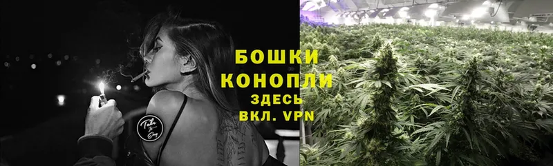 Каннабис OG Kush  Верхнеуральск 